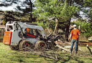 Johnson City Tree Removal