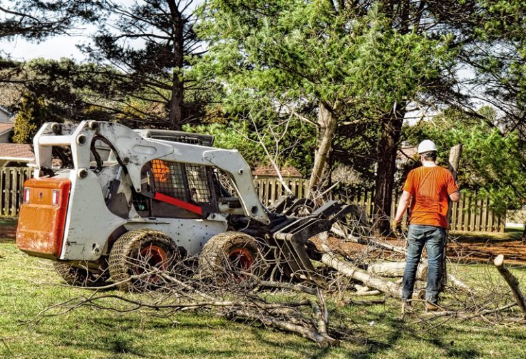 Johnson City Tree Removal - Johnson City Lawn, Landscaping & Snow